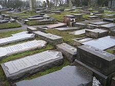 Cemetery Picture February 2009 1