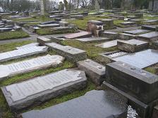 Cemetery Picture February 2009